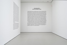 Installation photo, 1 of 17