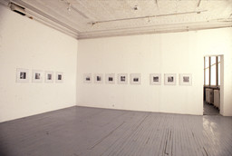 Installation photo, 39 of 52