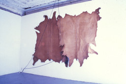 Installation photo, 16 of 17