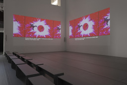 Installation photo, 41 of 43