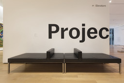 Installation photo, 36 of 38