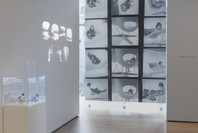 The Value of Good Design. Feb 10–Jun 15, 2019. 2 other works identified