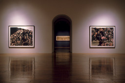 Installation photo, 5 of 8