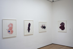 Installation photo, 178 of 222