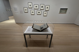 Installation photo, 55 of 86