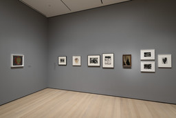 Installation photo, 7 of 86