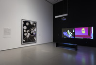 New Order: Art and Technology in the Twenty-First Century. Mar 17–Jun 15, 2019. 1 other work identified