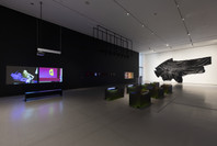 New Order: Art and Technology in the Twenty-First Century. Mar 17–Jun 15, 2019. 3 other works identified