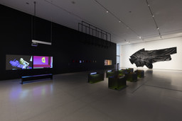 Installation photo, 14 of 22