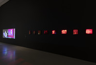 New Order: Art and Technology in the Twenty-First Century. Mar 17–Jun 15, 2019. 3 other works identified