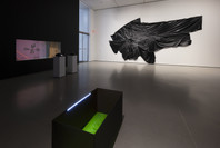 New Order: Art and Technology in the Twenty-First Century. Mar 17–Jun 15, 2019. 2 other works identified