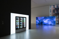 New Order: Art and Technology in the Twenty-First Century. Mar 17–Jun 15, 2019. 1 other work identified