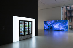Installation photo, 6 of 22
