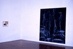 Installation photo, 11 of 51
