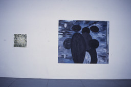 Installation photo, 36 of 51