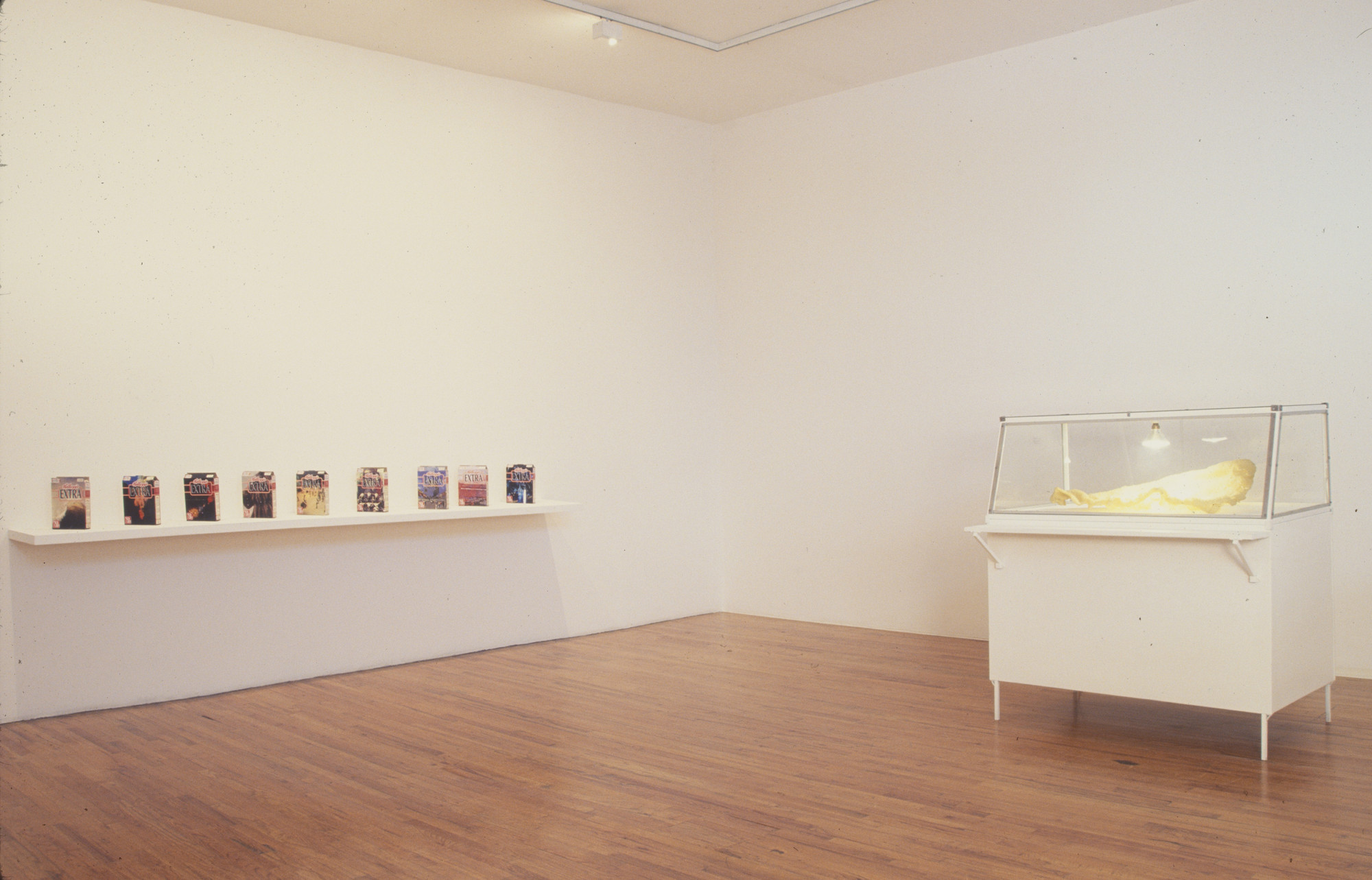 Installation View Of Diario And Untitled doy Fe By Gabriel Kuri In The P S 1 Exhibition 