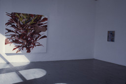 Installation photo, 29 of 51