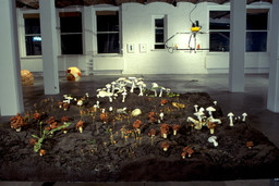 Installation photo, 14 of 71