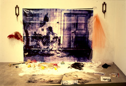 Installation photo, 19 of 25