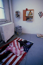 Installation photo, 9 of 30