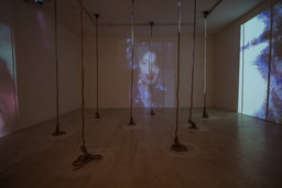 Installation photo, 5 of 6