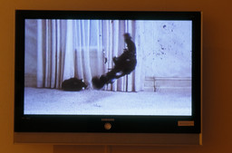 Installation photo, 139 of 159