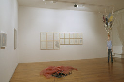 Installation photo, 109 of 159