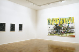 Installation photo, 99 of 159