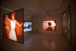 Installation photo, 11 of 15