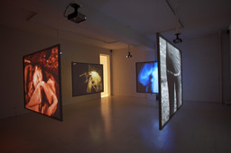 Installation photo, 12 of 15