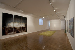 Installation photo, 11 of 82