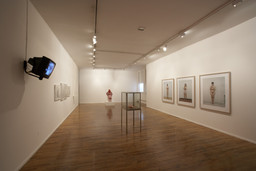 Installation photo, 12 of 82
