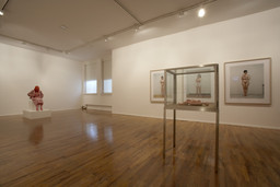 Installation photo, 13 of 82