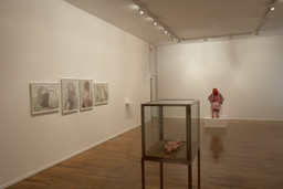 Installation photo, 14 of 82