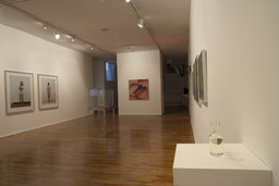 Installation photo, 18 of 82