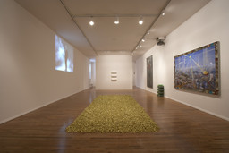Installation photo, 2 of 82