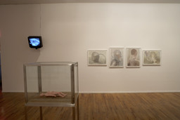 Installation photo, 20 of 82