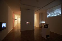 Installation photo, 22 of 82