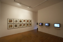 Installation photo, 28 of 82