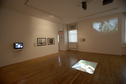 Installation photo, 31 of 82
