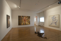 Installation photo, 34 of 82