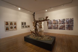 Installation photo, 36 of 82