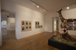 Installation photo, 37 of 82