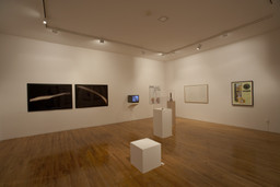 Installation photo, 41 of 82