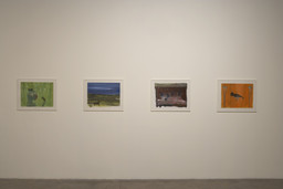 Installation photo, 21 of 30