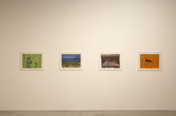 Installation photo, 9 of 30