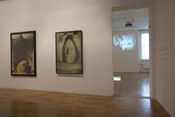 Installation photo, 46 of 82