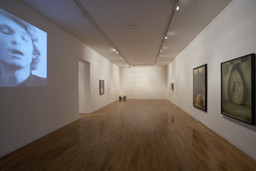 Installation photo, 47 of 82