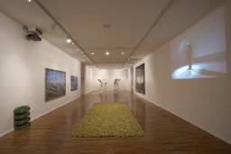 Installation photo, 5 of 82