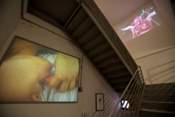 Installation photo, 70 of 82